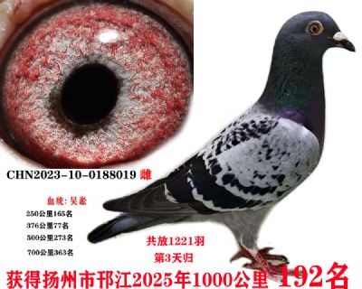 699ee839f544f456b5c5aef3950ab07