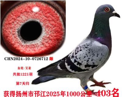 3b7bbeb08408ccc3e5a8d05f600de3f