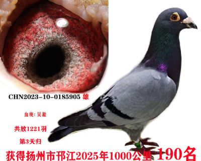 5deeb83ec9e317bcde113b4ee98ad4c