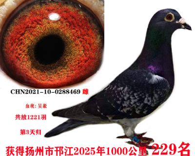 eb2f14b4f068312f28c0e9efb976860