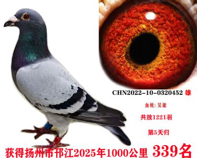 978643fb94ffbe3bb0e4deaab0f4eaa
