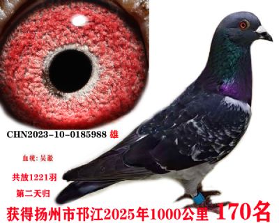 12d9b2d934b6579792ab0e3de739dd4