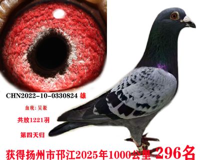 a6be368c10b22ba7f70b6a29ffbc440