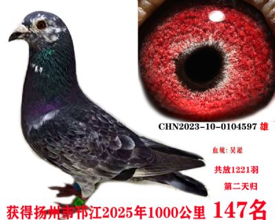 cbd021f920a60d0b187cebe492f58cd