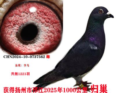 0e1809375d825fa7285adeb82129df5