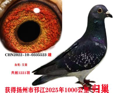 74698828b3a08159b0105c6f7661dfa