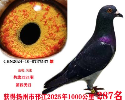 3bd8ece7d32ee144a73f57759dd41dc