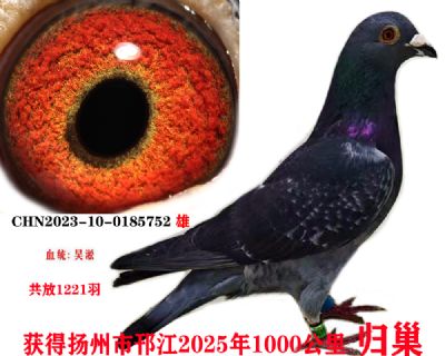 cfff55f7c6ab72ab89268e367b04b44