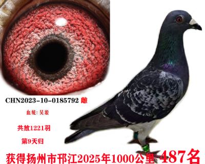 72becf439c90353376694437aeaf757