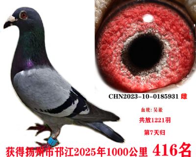 a996c5b755d413ade8439575dbc9a9e