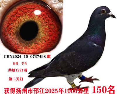 68bad9b3a8df439fcecfd9be04f22a9