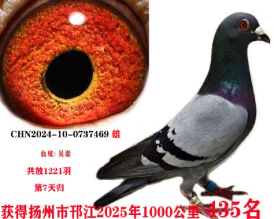 59f8643b37b38fff911aea4905d325c