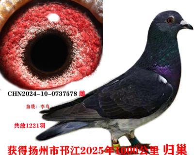 0eaa9eb64ca0cd79a320dbf55c91e94