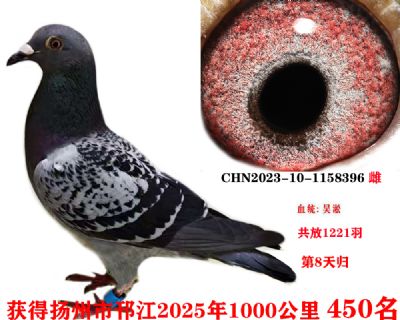 737b1aa7051ca218ebf11b827df4c12