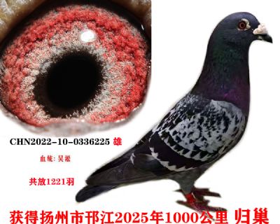 50dc19a9c8071f3f920058e893c3bf9