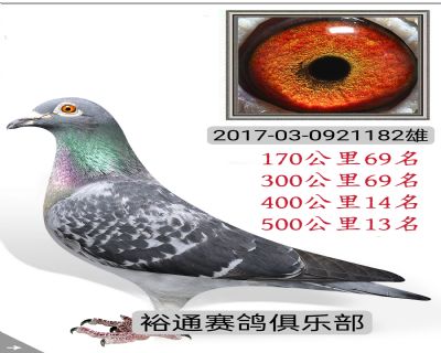 50013