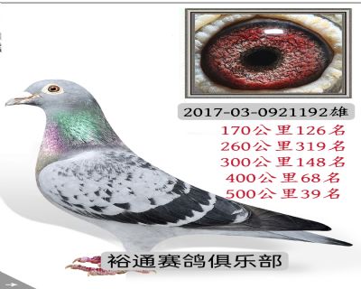 50039