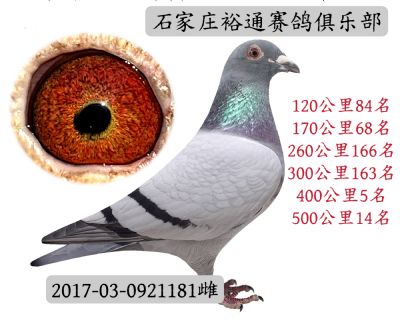 50014
