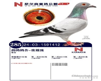](mi)