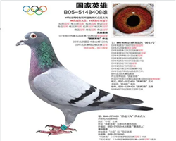 游