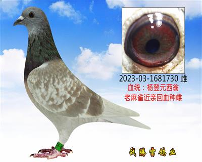 Ԫ730