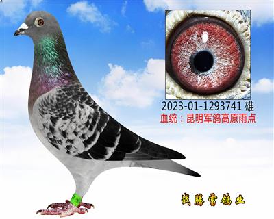 ܊741