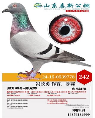 2025年春泰新公棚决赛242名