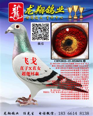 “飞戈”近亲孙女出售