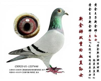 ½ķpػѪֱOŮ
