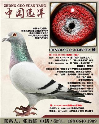 겻ɿQ