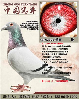 两年不出成绩包换