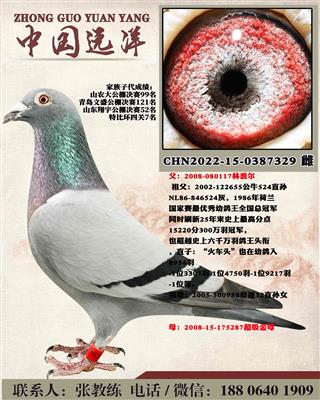 两年不出成绩包换