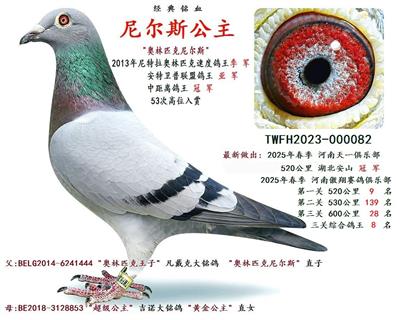 ᠖˹
