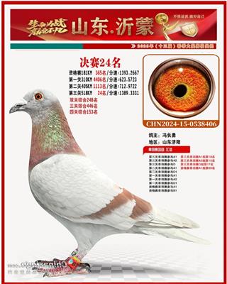 2025괺ɹQِ24