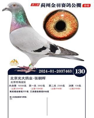 Eݽ500Qِ130