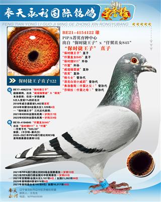 rӡֱ