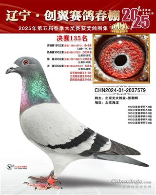 (chung)Qِ135