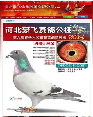 东方不败77777直子
