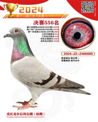 556