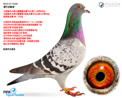 m?sh)ϡ?></a><br>
            <br>
            <a href=