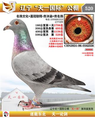 2025春遼寧天一國際公棚決賽520名