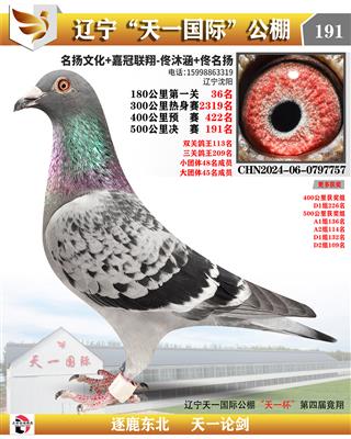 2025春遼寧天一國際公棚決賽191名