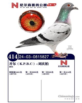 25괺ɽ᠖ɭQِ414
