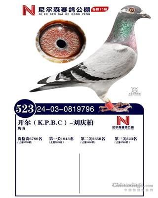 25괺ɽ᠖ɭQِ523