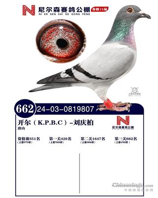 25괺ɽ᠖ɭQِ662