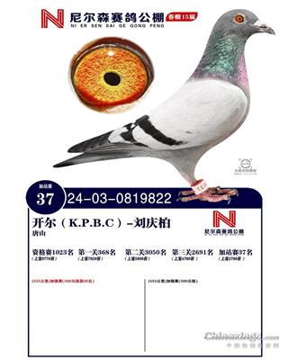 25괺ɽ᠖ɭվِ37