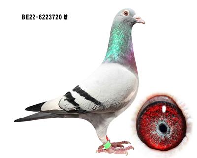 ֿ˹ʿ