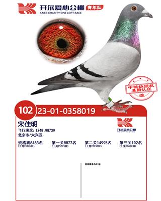開爾決賽102名