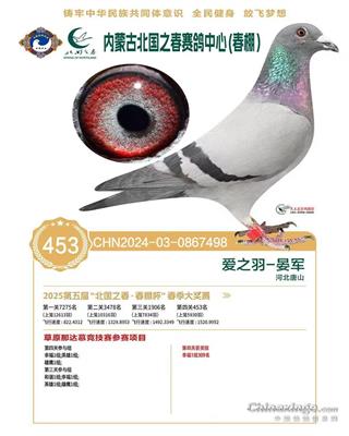 2025걱֮