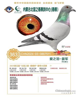 2025걱֮